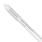 Ledvance Tube LED T5 Performance (HF) High Efficiency 16W 2160lm - 830 Blanc Chaud | 115cm - Équivalent 28W